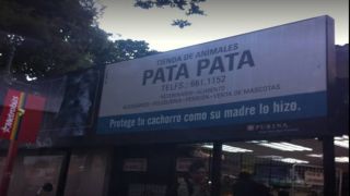 venta conejos caracas Tienda de Animales Pata-Pata