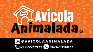 tiendas pajaros caracas Avicola Animalada ca