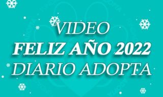 lugares adopcion mascotas caracas Fundación Diario Adopta