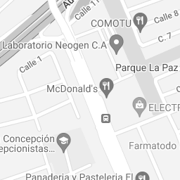 clases de piano en caracas Instituto CanZion Caracas