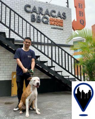 Caracas con Mascotas: Lugares Pet-Friendly y Actividades para Perros
